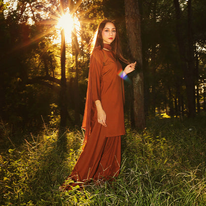 Unmixed Brown | Farshi Shalwar Kameez